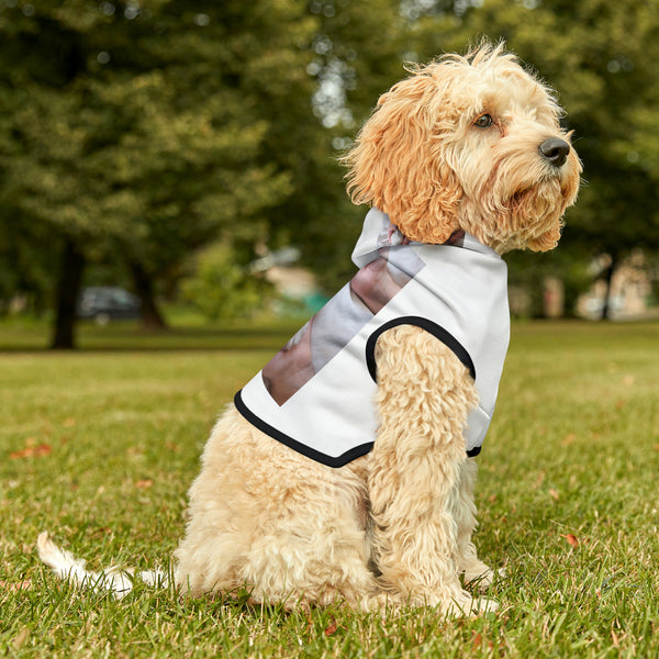 πΎπ "Pawsome Pet Hoodies: Customizable Comfort for Your Fur-bulous Friend! πΊ" π