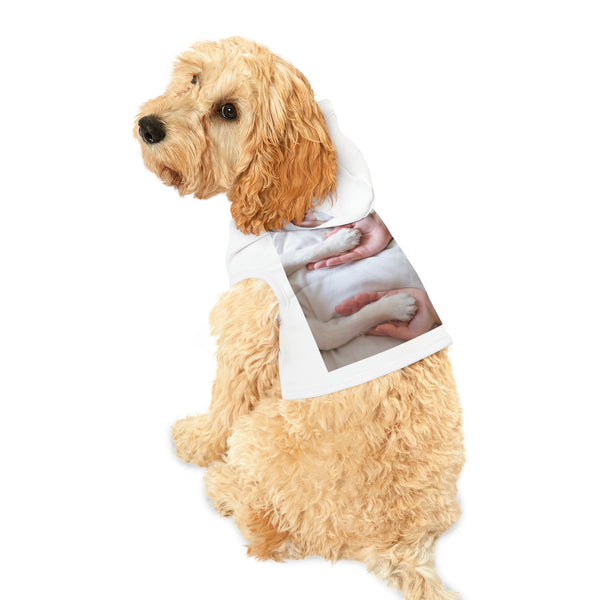 πΎπ "Pawsome Pet Hoodies: Customizable Comfort for Your Fur-bulous Friend! πΊ" π