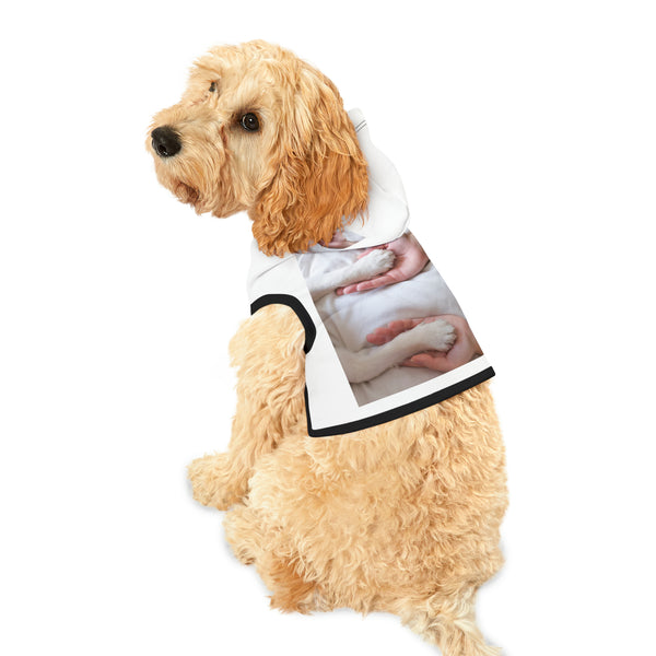 πΎπ "Pawsome Pet Hoodies: Customizable Comfort for Your Fur-bulous Friend! πΊ" π