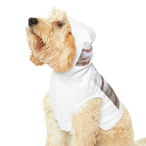 πΎπ "Pawsome Pet Hoodies: Customizable Comfort for Your Fur-bulous Friend! πΊ" π