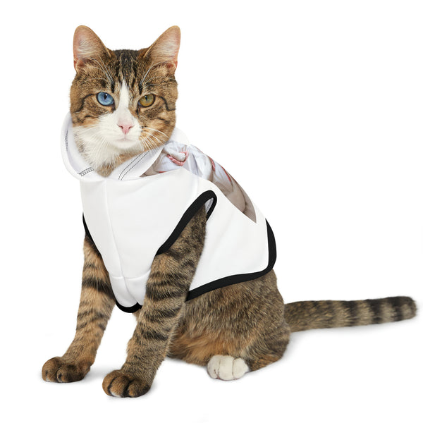 πΎπ "Pawsome Pet Hoodies: Customizable Comfort for Your Fur-bulous Friend! πΊ" π