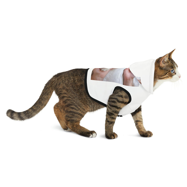 πΎπ "Pawsome Pet Hoodies: Customizable Comfort for Your Fur-bulous Friend! πΊ" π