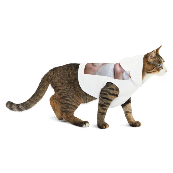 πΎπ "Pawsome Pet Hoodies: Customizable Comfort for Your Fur-bulous Friend! πΊ" π