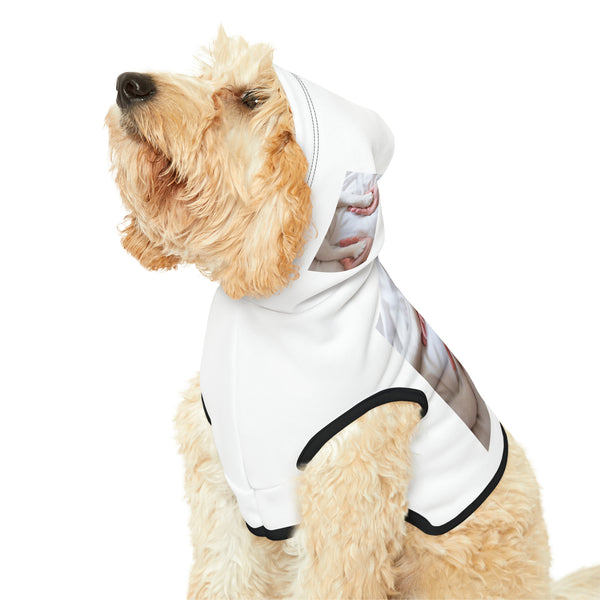 πΎπ "Pawsome Pet Hoodies: Customizable Comfort for Your Fur-bulous Friend! πΊ" π