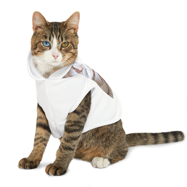 πΎπ "Pawsome Pet Hoodies: Customizable Comfort for Your Fur-bulous Friend! πΊ" π