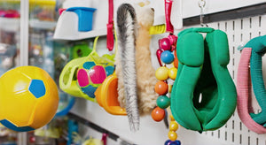 Best Pet Shop Near Me: Your Guide to Finding the Perfect Store for Your Furry Friends