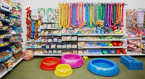 Top 10 Pet Supplies Stores Near Me: Your One-Stop Shop for Pet Essentials