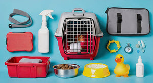 Essential Pet Carrier and Crate Accessories You Need for Traveling with Your Furry Friends 🐾🚗