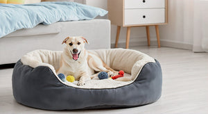 Creating Your Pet Utopia: Tips for Designing the Perfect Living Space for Your Furry Friend