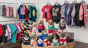 Trendy Pet Apparel: Fashionable Outfits for Your Furry Friends 🐾👗