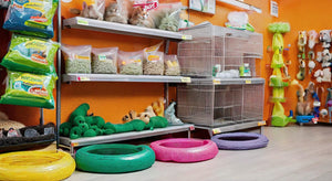 The Ultimate Guide to Finding the Perfect Pet Shop for Your Furry Friends