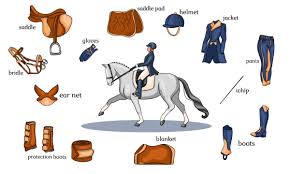 🐴 Stable Mates: Evaluating Top-Tier Horse Grooming and Riding Gear 🐎🤠