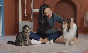 🐶🐱 How to Introduce a New Pet to 🐱🐶Your Rescue Dog/Cat