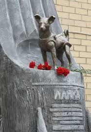 🐶🚀 Laika the Dog: The Cosmic Pioneer from Moscow's Streets to Space 🌠
